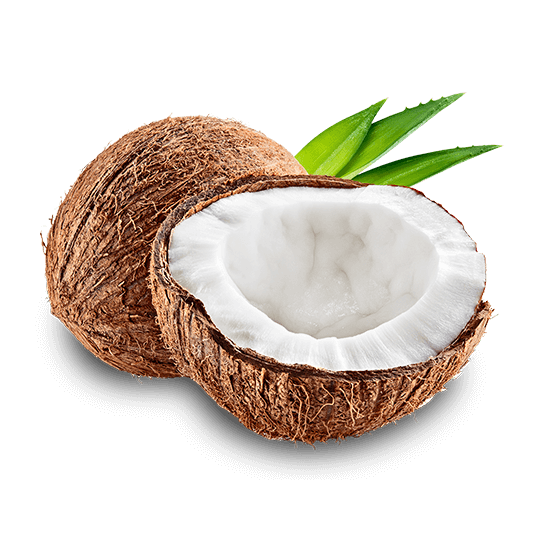 https://ogreedys.fr/wp-content/uploads/2022/09/coco.png